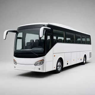 Buses